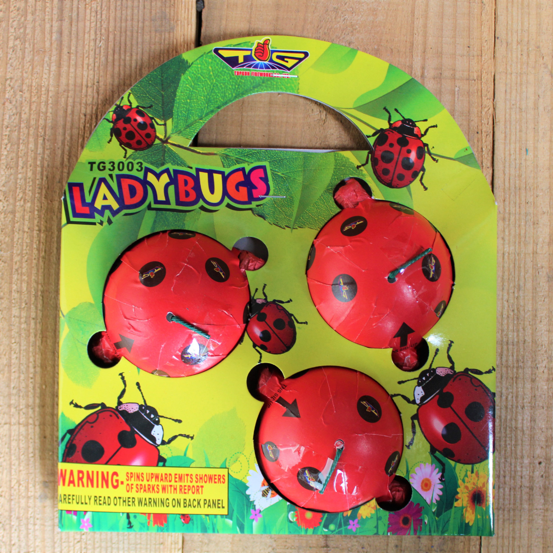 Lady Bugs