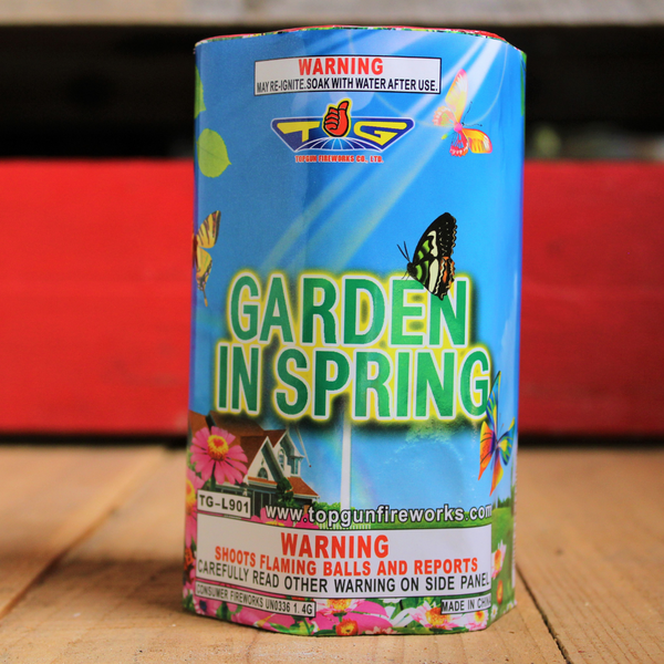 Garden In Spring