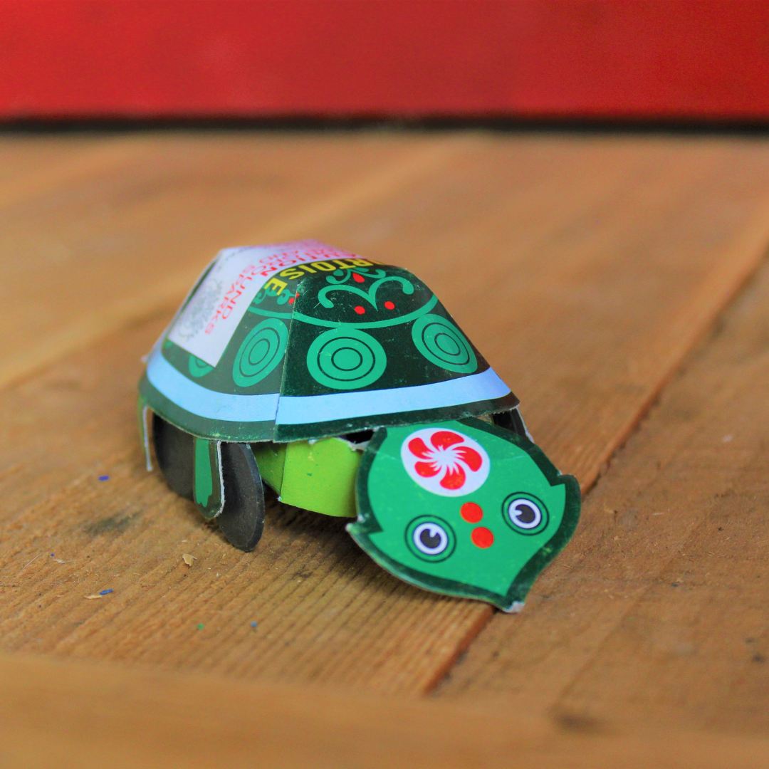 Turtles